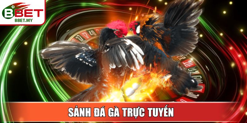 BBET 15 Sin88 Sảnh Đá Gà trực tuyến