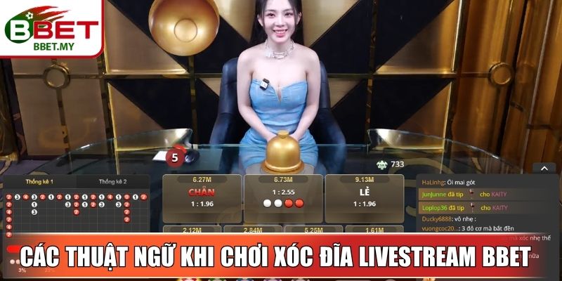 Xóc Đĩa Livestream BBet Chơi Dân Gian Thu Hút Chơi Online 3 Sin88 Các thuật ngữ cần biết khi chơi xóc đĩa livestream BBet
